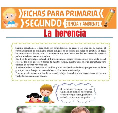 La Herencia Para Segundo De Primaria Actividades Educativas 2022