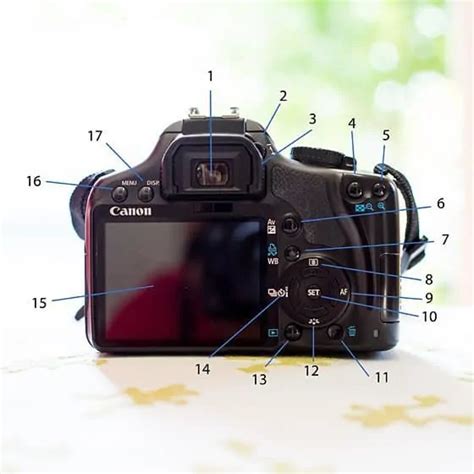 Getting To Know Your Canon Camera Dslr Buttons Daily Mom