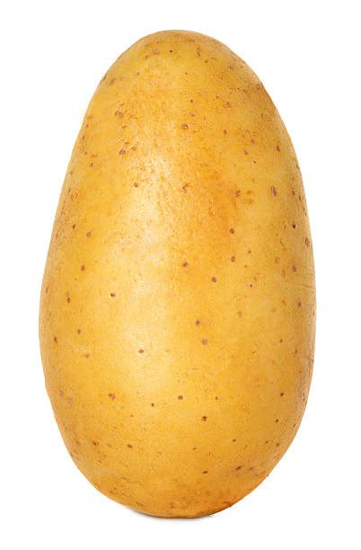 Best One Potato Stock Photos Pictures And Royalty Free Images Istock