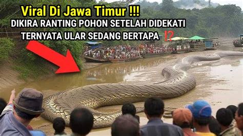 Viral Di Jawa Timur Dikira Ranting Pohon Setelah Didekati Ternyata