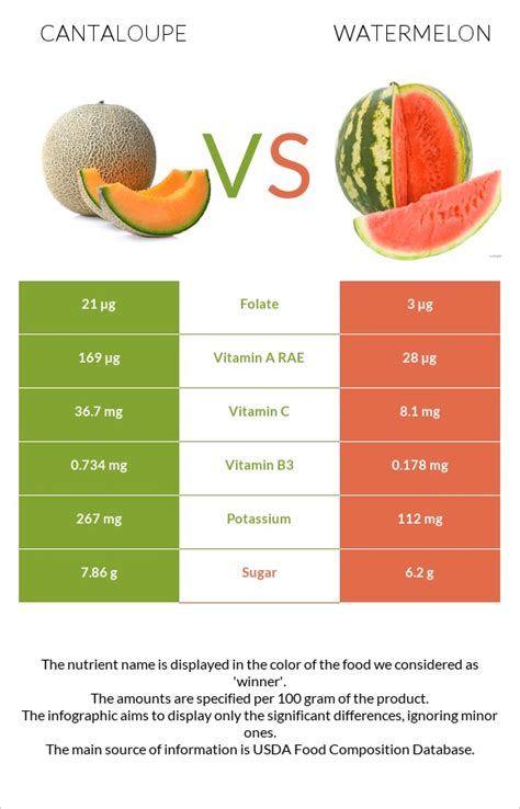 Cantaloupe vs. Watermelon — In-Depth Nutrition Comparison