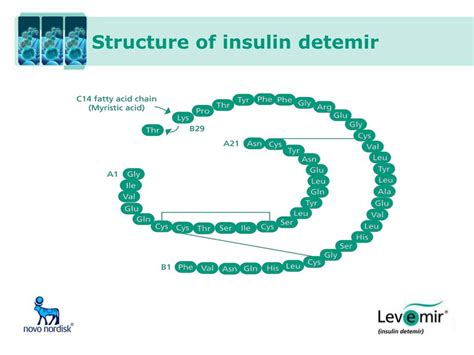 PPT - Clinical presentation of insulin detemir PowerPoint Presentation ...