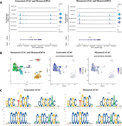 Generated Chromatin Accessibility Profiles Exhibit Good Performance In