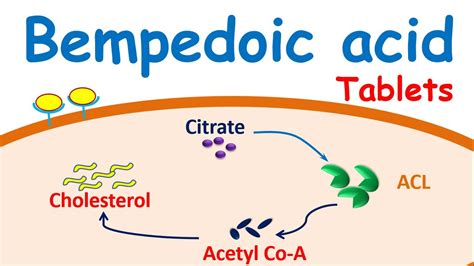 Bempedoic Tablets Mechanism Side Effects Precautions Youtube