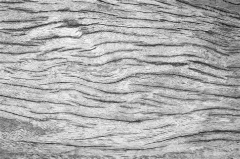 Premium Photo Beautiful Vintage Black And White Wooden Wall Texture