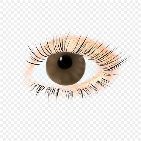Brown Cartoon Eyes With Eyelashes