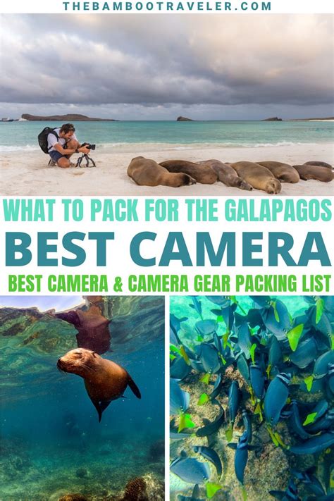 Galapagos Packing List What Camera Gear To Pack The Bamboo Traveler