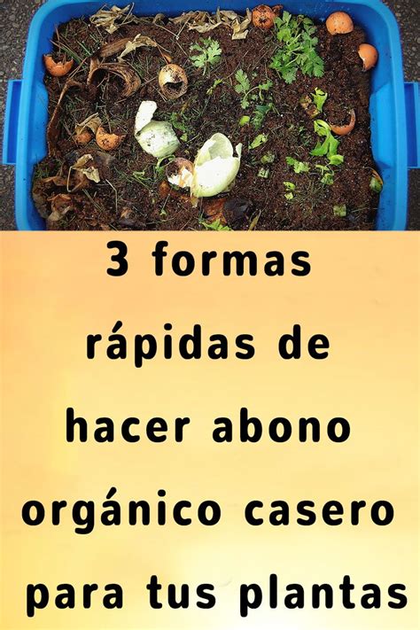 Formas R Pidas De Hacer Abono Org Nico Casero Para Tus Plantas