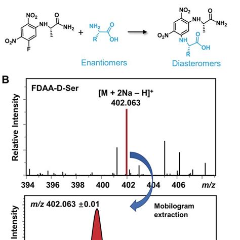 Tims Differentiation Of Chiral Amino Acid Pairs Under Constant