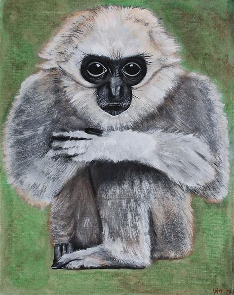 Gibbon Painting By Wendi Tooth Fine Art America