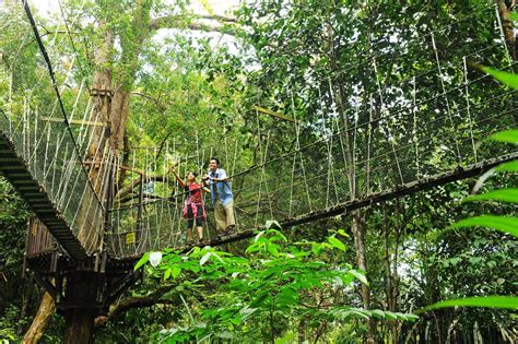 Finding Fun on Penang National Park's Hiking Trails