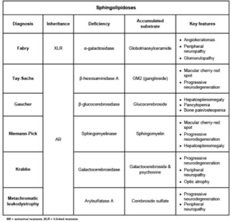 Lysosomal Storage Disorders Mnemonics | Dandk Organizer