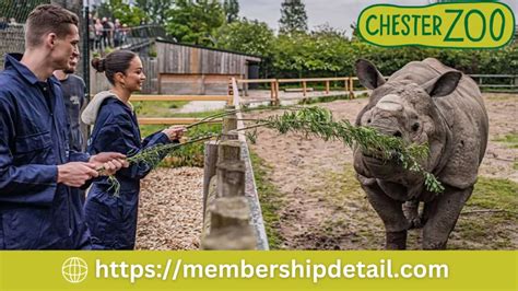 Chester Zoo Membership 2024 Types Cost Benefits Review Ticket Prices