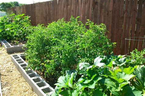 Growing A Vegetable Garden In North Texas Gardening 4 Life Gardening In