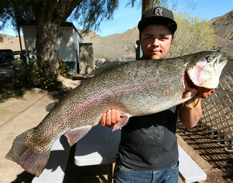 Lake Elsinore Fishing Report 2020 - Unique Fish Photo