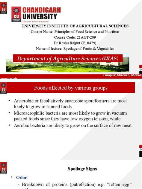 lecture  spoilage  fruits vegetables  decomposition mold