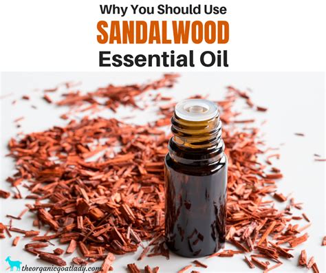 Why You Should Use Sandalwood Essential Oil The Organic Goat Lady