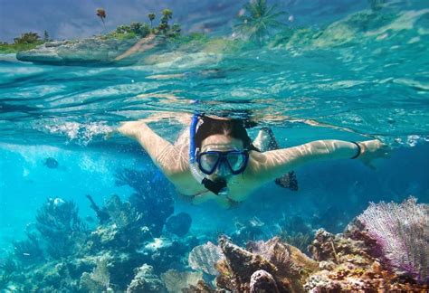 Snorkeling In Bali Bali Best Adventures