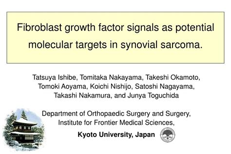 Ppt Fibroblast Growth Factor Signals As Potential Molecular Targets In Synovial Sarcoma