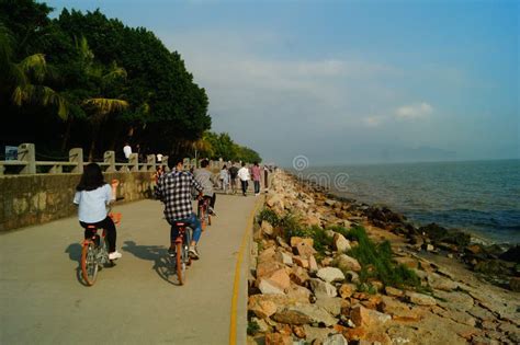 Shenzhen, China: Tourists Travel by Bike in Shenzhen Bay Park Editorial ...