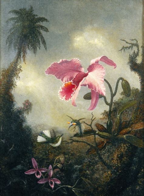 Photo Two Hummingbirds Two Types Of Orchid And A Palm Tree C1890