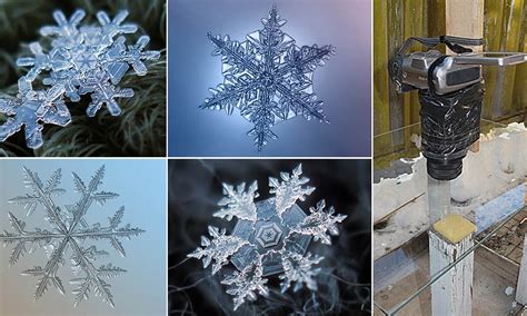 Incredible Close Up Pictures Of Snowflakes Taken On A Photographers