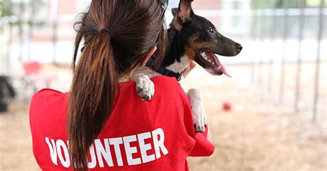 Can My Dog Volunteer