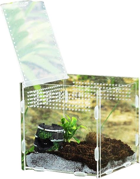 Fütterungsbox Terrarium 360 Transparent Acryl Terrarium Klein Anti