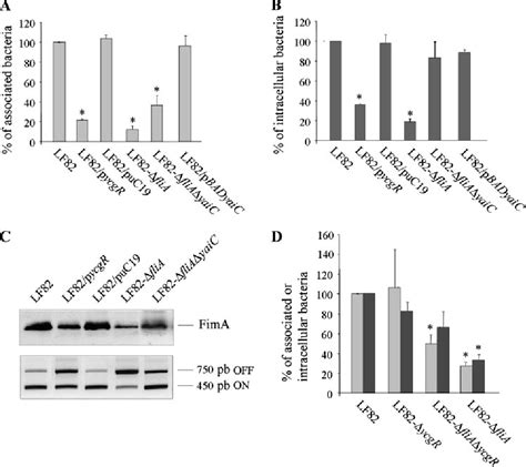 Figure From The Flagellar Sigma Factor Flia Regulates Adhesion And