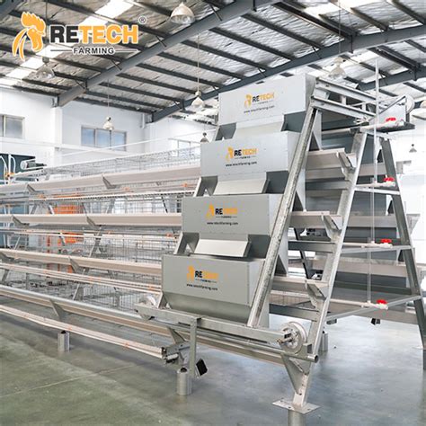 China More Farms Invest Automatic A Type Battery Cage For Layers In