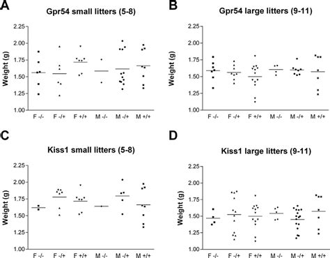 Weight Of Pups On Day Of Birth Compared With Genotype And Sex A Pups