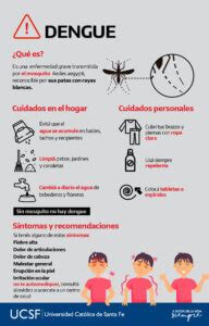 Recomendaciones Para La Prevenci N Del Dengue