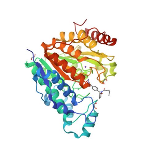 RCSB PDB 8G20 Crystal Structure Of Danio Rerio Histone Deacetylase 6