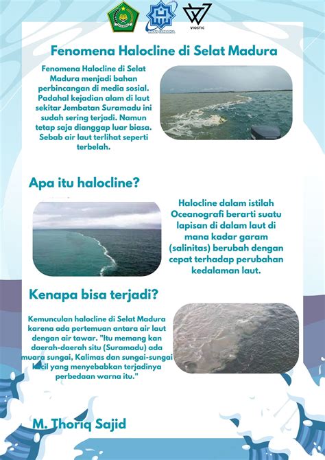 Infografis Halocline Di Selat Madura Muhammad Thoriq Sajid