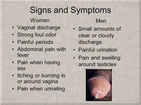 Chlamydia Vs Gonorrhea Here We Will Show You The Differences Between