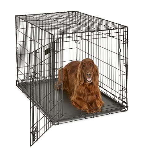 Best Divider For Dog Crate: How To Choose The Right One