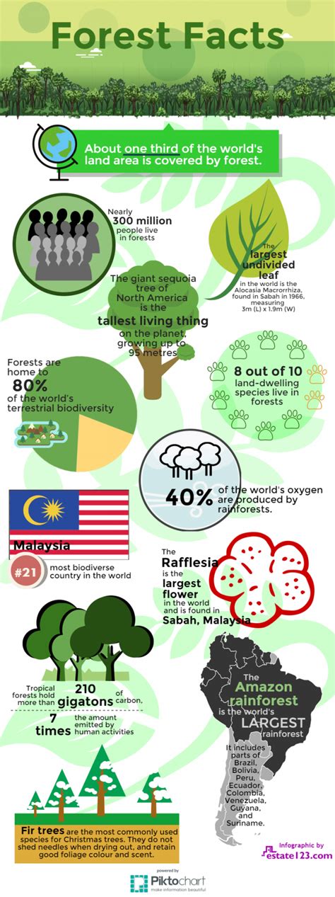 Forest Facts - ForestNation