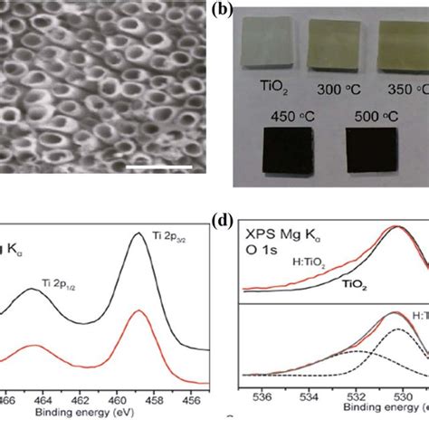 A Sem Image Of The Electrochemically Anodized Tio 2 Nanotube Arrays Download Scientific