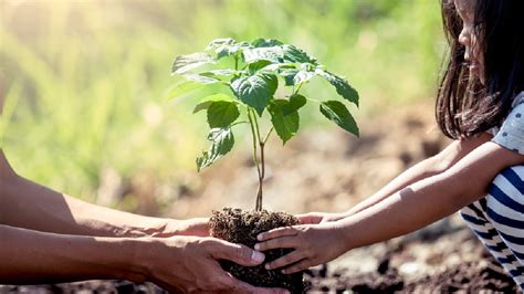 Acciones Que Puedes Hacer En Tu Comunidad Para Contribuir Con El