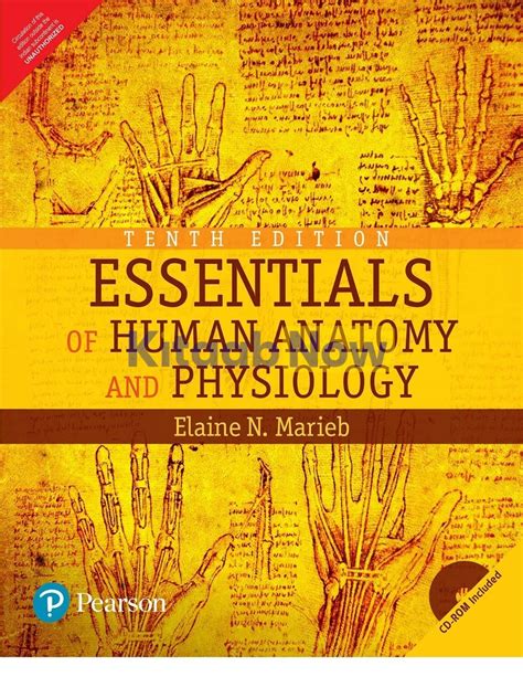 Essentials Of Human Anatomy And Physiology 10th Edition KitaabNow