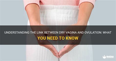 Understanding The Link Between Dry Vagina And Ovulation What You Need