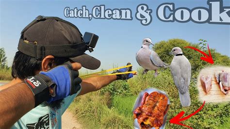 Slingshot Dove Hunt Catch Clean Cook Youtube