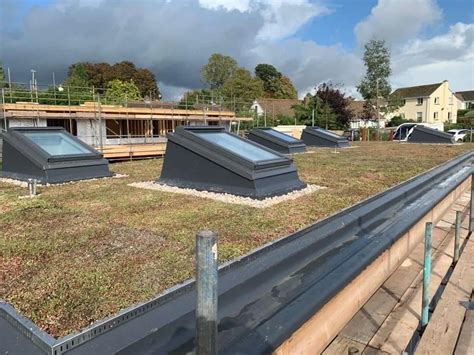 Different Types Of Green Roofs Sps Roofing Ltd