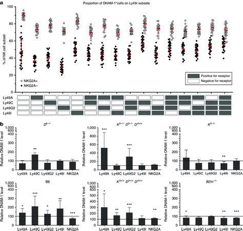 DNAM 1 Expression Correlates With Inhibitory Receptors For