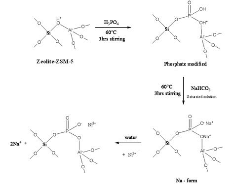 Reaction Schemes Illustrating Modification Of Pna 2 Zsm 5 Zeolites