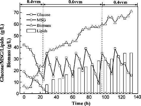 Time Course Of Cell Growth Glucose Consumption Msg Consumption And