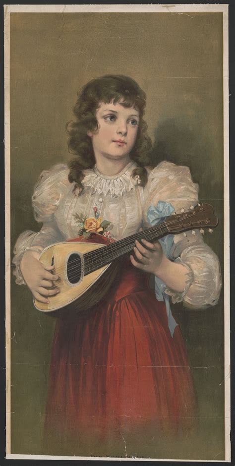 Serenade Images | Free Photos, PNG Stickers, Wallpapers & Backgrounds ...