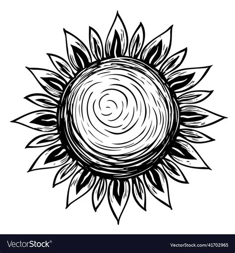 Yellow sun isolated on white Royalty Free Vector Image