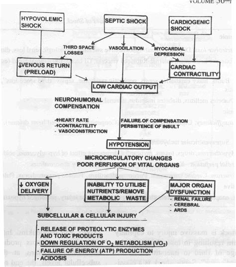 Hypovolemic Shock Chart