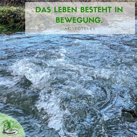 Sprüche Der Fluss Des Lebens Zitate Leben Geniessen Schonste